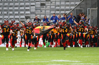frtp_2011_07_08_29745