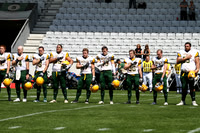 frtp_2011_07_08_29495