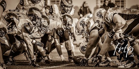 frtp_frtp_2015_05_30_85279